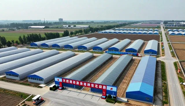 旧房翻新需求促进工程改造等不断升级